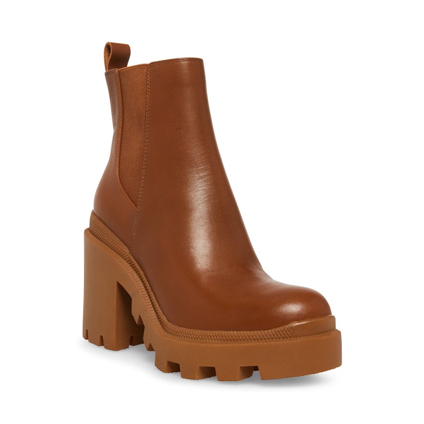 Brown Steve Madden Roxie Leather Women's Ankle Boots | PH 2183IPX